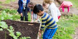 children planting in a garden